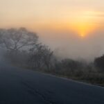Sunrise - Wildlife photography - Misty Kruger National Park Sunrise - Wildlife photography - Misty Kruger National Park